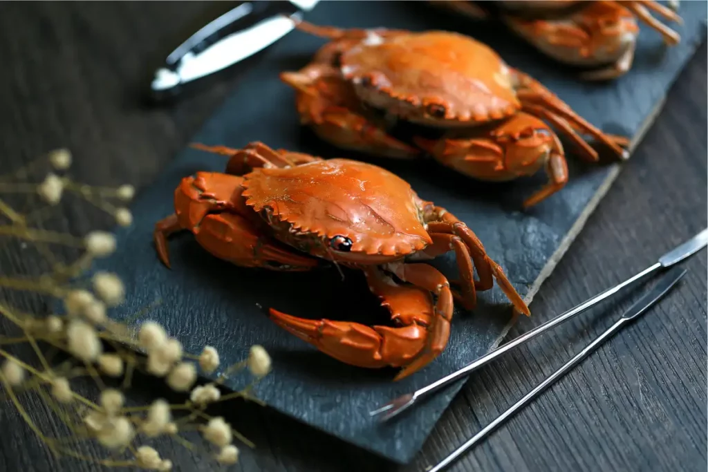 imitation crab recipes